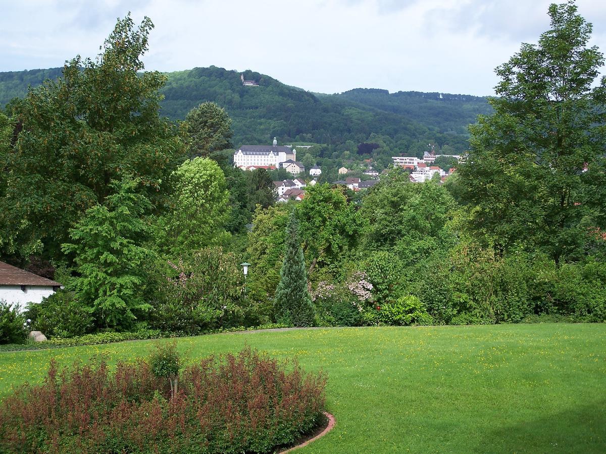 巴特德里堡Haus Am Steinberg公寓 外观 照片