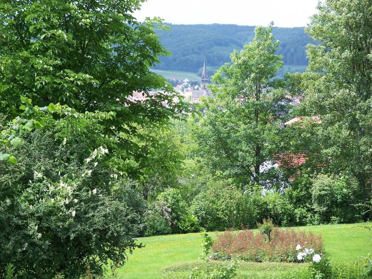 巴特德里堡Haus Am Steinberg公寓 外观 照片